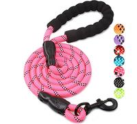 Baapet - Correa para Perro con Mango Acolchado cómodo y Hilos Reflectantes, 152 cm, Color Rosa