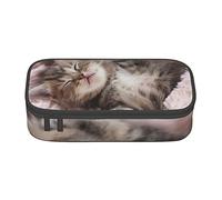 BAAROO Estuche de lápices de gran capacidad para niñas y niños, diseño de gato durmiendo, color, 5.0cm*10.5cm*20.5cm, Estuche para lápices