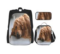 BAAROO Juego de 3 mochilas con diseño de Golden Retriever On The Ground Art Book Bag Travel Camping Work School Bag Pencil Case Lunch, color, 5.0cm*10.5cm*20.5cm, Estuche para lápices