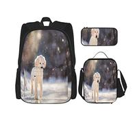 BAAROO Juego de 3 mochilas Golden Retriever Puppy al aire libre en la nieve en invierno bolsa de libro viaje camping trabajo escuela bolsa penci, color, 5.0cm*10.5cm*20.5cm, Estuche para lápices