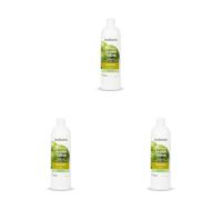 Babaria - Champú Nutritivo De Aceite De Oliva, 700 ml (Paquete de 3)