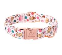 Babole Pet Lindo collar de perro de dinosaurio, collares ajustables para perros grandes, hebilla de metal resistente, collar para mascotas, hembra, talla XL