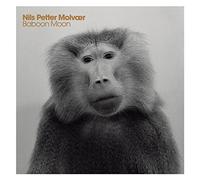 Baboon Moon