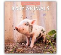 Baby Animals 2026 Square Wall Calendar: Original Red Robin Publishing Ltd-Kalender [Mehrsprachig] [Kalender]