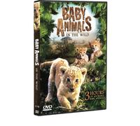 Baby Animals in the Wild [Reino Unido] [DVD]