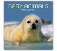 Baby Animals - Tierkinder 2026 - 16-Monatskalender: Original Gifted Stationery-Kalender [Mehrsprachig] [Kalender]