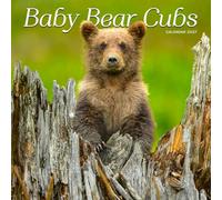 Baby Bear Cubs Calendar 2027: Young Bears in Natural Habitats