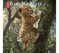Baby Big Cats Calendar 2026: Adorable Cubs of the Jungle’s Fiercest Predators