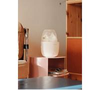 BABY BOTTLE WARMER - Calentador De Biberones Y Esterilizador Con Función De Cocción Al Vapor Blanco Roto