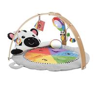 Baby Einstein, Gimnasio de peluche con barra de madera, para bebés y niños pequeños, 0-12 meses, lavable a máquina