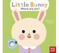 Baby Faces: Little Bunny Where Are You?