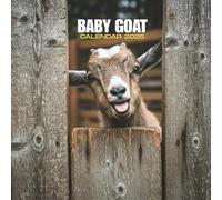 Baby Goat 2026 Calendar: Adorable Farm Moments | Monthly Animal Grid | Square Format with U.S. Holiday Dates 8.5x8.5 in