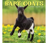Baby Goats 2027 Wall
