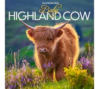 Baby Highland Cow 2026 Calendar: Adorable Calves and Scottish Countryside Charm