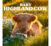 Baby Highland Cow 2026 Calendar: Cute Scottish Calf Photography & Countryside Charm