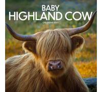 Baby Highland Cow Calendar 2027