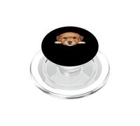 Baby Maltipoo Puppy Closeup Face Retrato de Perro PopSockets PopGrip para MagSafe