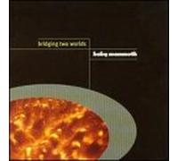 Baby Mammoth - Bridging Two Worlds