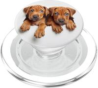 Baby Rhodesian Ridgeback Perro Cachorros Recortado Adorable Lindo PopSockets PopGrip para MagSafe