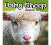 Baby Sheep Calendar 2026: 12 Months Organizer From January to December