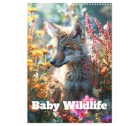 Baby Wildlife (Wall Calendar 2026 DIN A3 portrait), CALVENDO 12 Month Wall Calendar: Baby woodland creatures through the seasons
