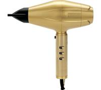 BaByliss PRO GOLDFX FXBDG1E Secador digital profesional de 2200W de potencia, Dorado