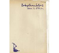 Babyshambles - Down In Albion