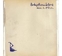 Babyshambles - Down In Albion