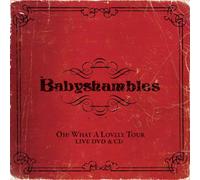 Babyshambles - Oh!What a Lovely Tour Live