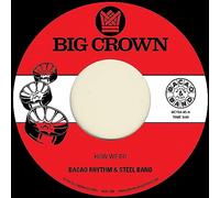 Bacao Rhythm & Steel Band - How We Do + Nuthin' But A G Thang [Vinilo]
