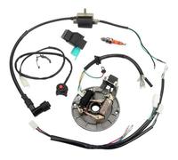 Baceyong Kit de estator magnético de bobina de encendido de arnés de cableado que aborda fallos eléctricos compatible con motos de cross de 50 cc, 70 cc, 110 cc, 125 cc, 4 tiempos
