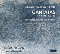 Bach: Cantatas Bwv 146, 103, 33 / Il Gardellino