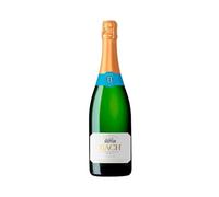 BACH Cava Semiseco, Caja 6 Botellas 75 cl