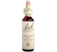 Bach Chestnut Bud 20 ml - esencia floral en gotas - Chestnut Bud 20 ml Bach