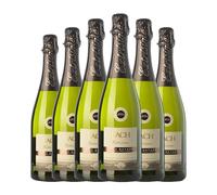 Bach Extrísimo Brut Nature Cava Joven 75 cl Espumoso blanco (Caja de 6 Botellas de 75 cl)