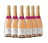 BACH Extrísimo Rosé - Cava Rosado Brut - Caja 6 botellas 75cl