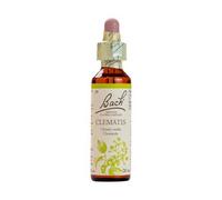 Bach - Flor de Bach Clematis, Complemento Alimenticio, 20 ml | Extracto Floral Clematis, Ayuda para la Gestión de Emociones, Atención, Uso Diario, Formato Gotas, Adultos, 20 ml