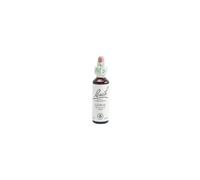 Gorse (Aulaga) 20 ml Flores de Bach Originales