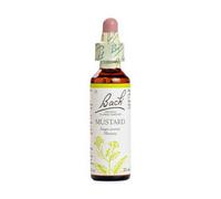 Bach Flores de Bach Flor nº 21 Mostaza – Complemento alimenticio con extracto de flores – 20 ml