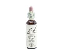 Flores de Bach 07 Chestnut Bud (Brote de Castaño) 20 ml de elixir floral - Bach Original