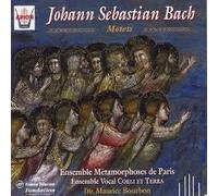 Bach, J.S. - Motets