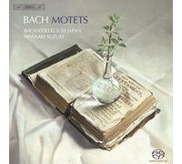 Bach : Motets