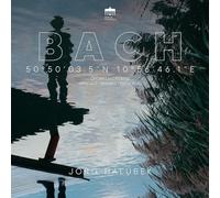 Bach Organ Landscapes:Arnstadt