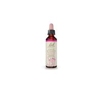 Bach Star of Bethlehem 20ML - esencia floral para bienestar emocional