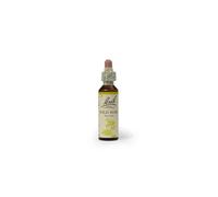 Bach Wild Rose 20 ml - esencia floral de rosa silvestre