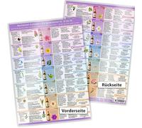 Bachblüten-Kompass Teil 3 - Die Seelenblüten Nr. 25 bis 38: Emotionale Beschwerden verstehen • Tiefe Blüten-Wirkung erleben • Wieder ganz Du selbst werden