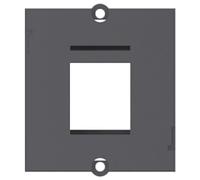 Bachmann 917001 - Módulo para conexión datos 1xkeystone negro