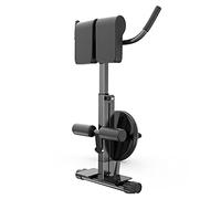 Back - Banco de hiperextensión - Silla romana ajustable para entrenamiento de fuerza, gimnasio en casa, máquina de ejercicio AB con disco giratorio de cintura