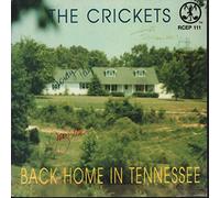 Back Home in Tennessee [Vinilo]