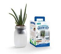 Back to the Roots Kit de Cultivo de riego automático, macetas hidropónicas de Vidrio para suculentas y Cactus, Sistema de riego automático sin complicaciones